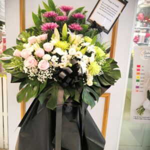 Aristocrat Bloom (CL13)